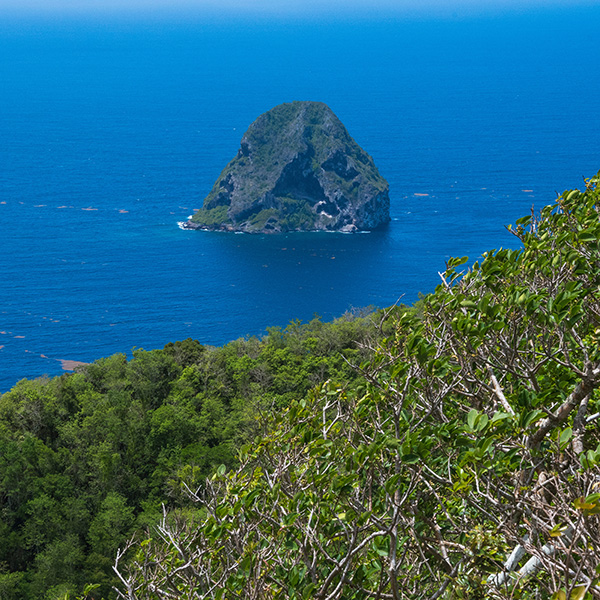 Randonnée martinique sud