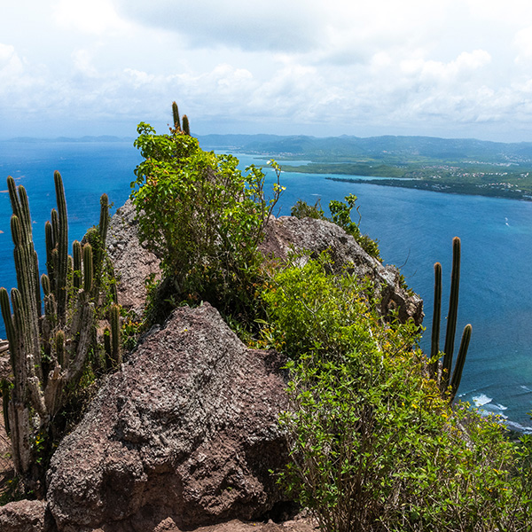 Randonnée rivière martinique