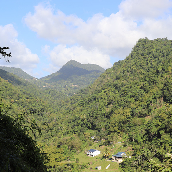 Les plus belles randonnées de martinique