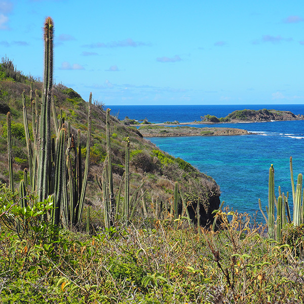 Randonnée martinique en famille