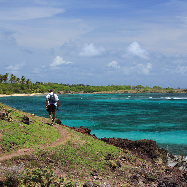 Randonnée facile martinique