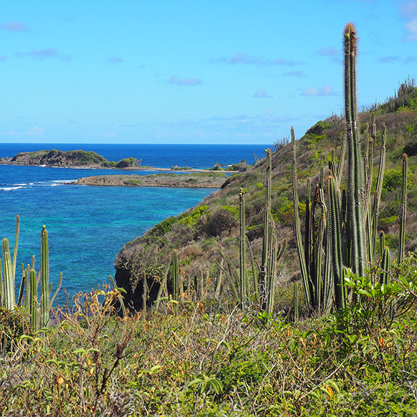 Randonnée martinique sud