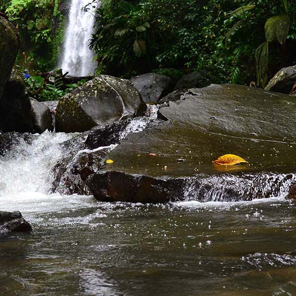 Randonnee martinique cascade