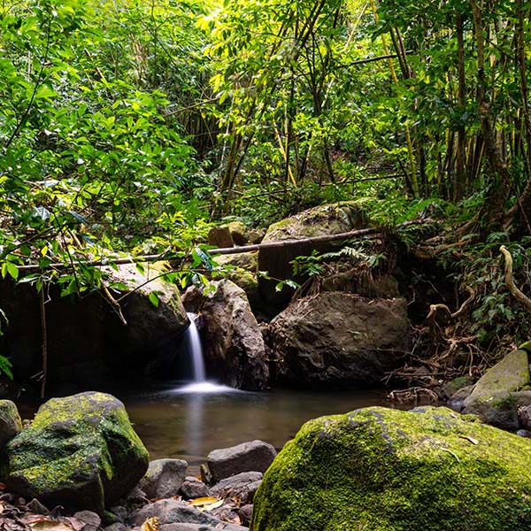 Randonnee martinique cascade