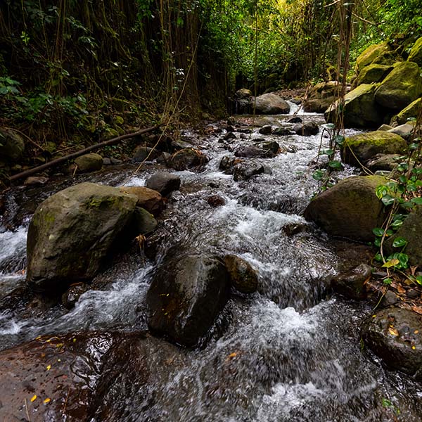 Randonnee montagne pelee martinique