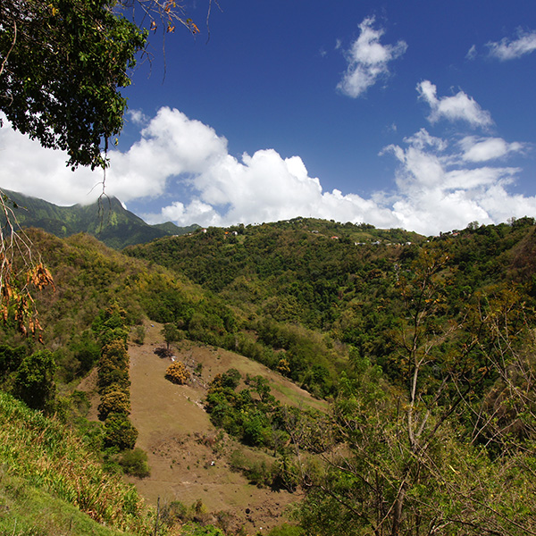 Randonnee montagne pelee martinique