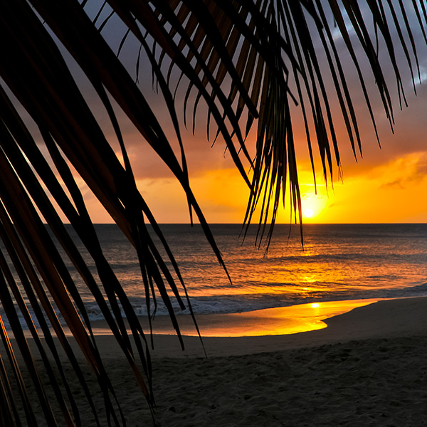 Partir en vacances en martinique