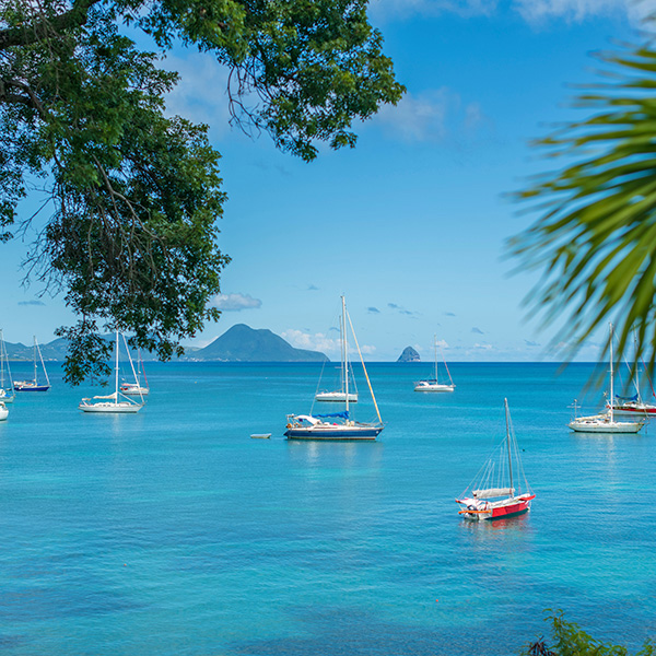 Bon plan plage martinique