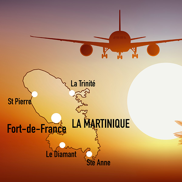 Voyage martinique metropole