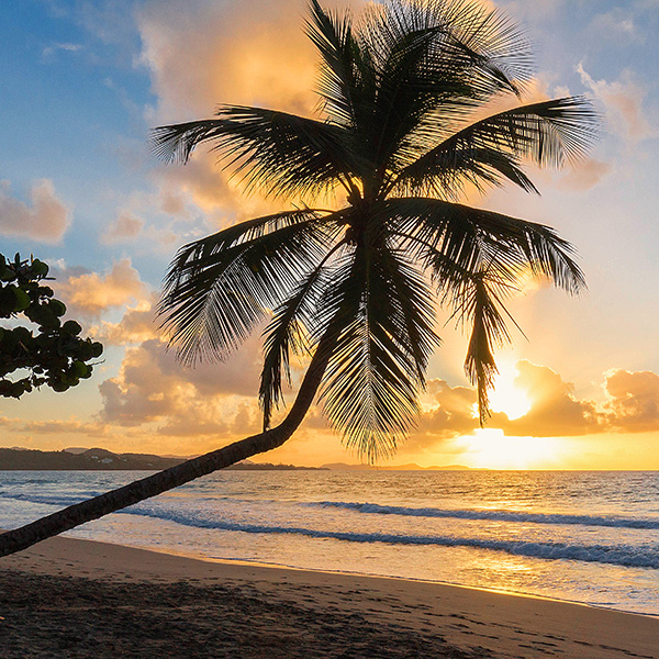 Vacances en martinique 2022