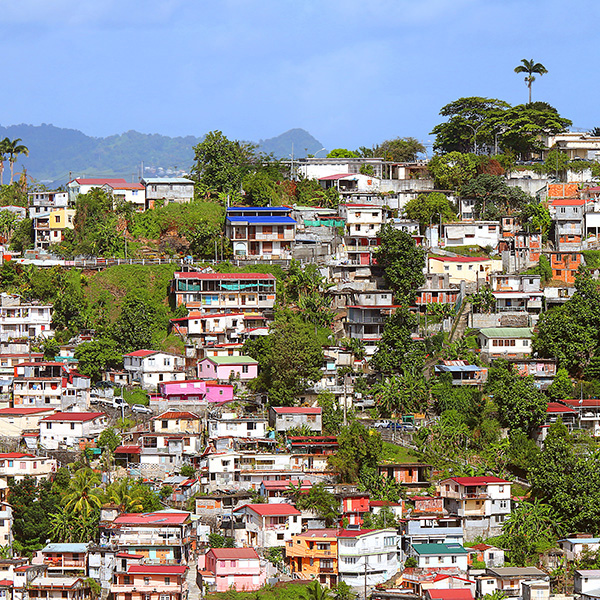 Bon plan activités martinique