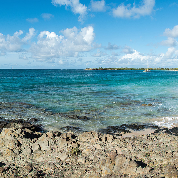 Bon plan shopping martinique