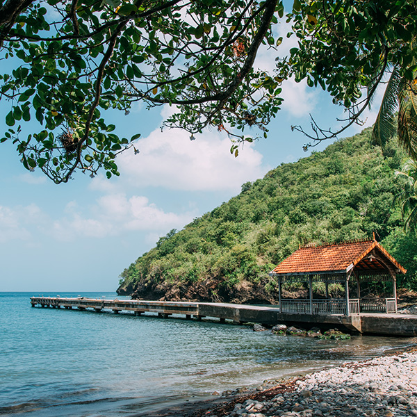 Bon plan activités martinique